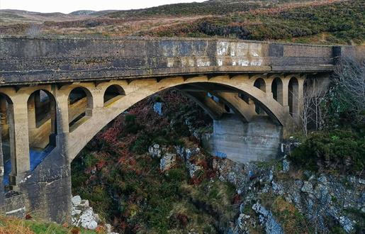 Bridge to Nowhere, Tolsta