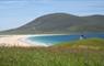 Blue Reef Cottages beach and machair flowers