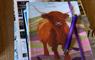 South Dell Pod Highland Cow on guest book