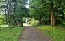 Woodland path, Lews Castle Grounds