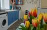 Snowberry Cottage kitchen & tulips