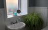 Snowberry Cottage spider plant in bathroom