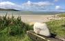 West Harris Trust Campervan Hook-ups stone sign at Luskentyre Beach