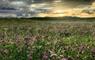 Am Bliochan self catering cottage north uist - Paiblesgarry machair sunset.