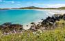 The Croft House beach and machair flowers