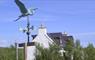 Westside bird weather vane